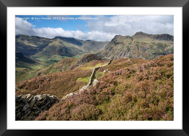 View past the heather on Lingmoor Fell Framed Mounted Print by Gary Kenyon