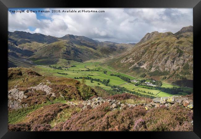 Lingmoor Views of Bowfell and the Langdale Pikes Framed Print by Gary Kenyon