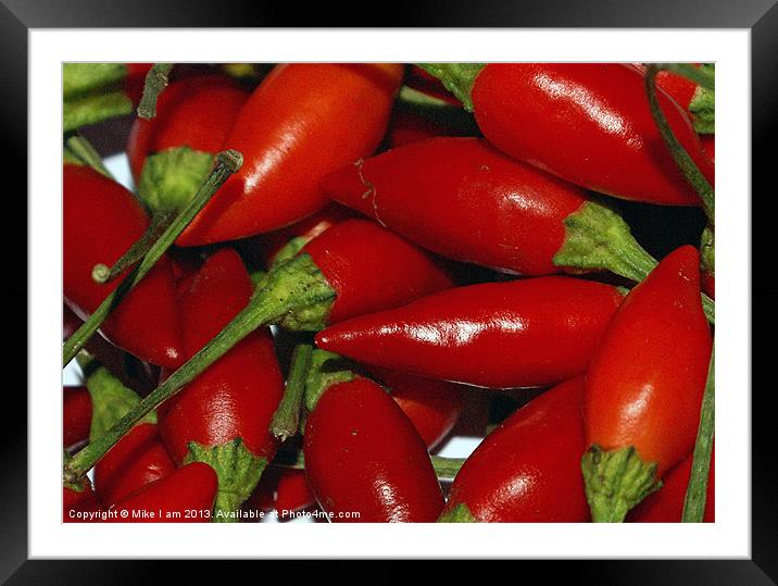 Red Chilli Framed Mounted Print by Thanet Photos