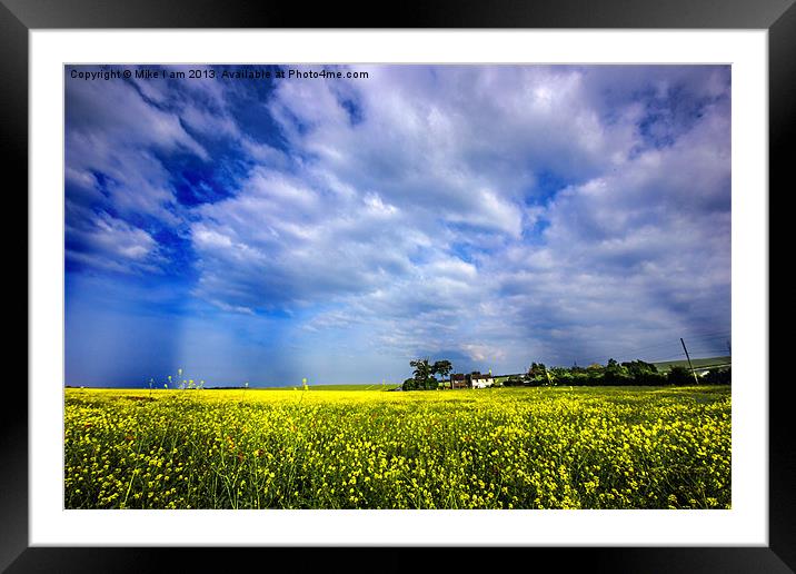 Rape oil field Framed Mounted Print by Thanet Photos