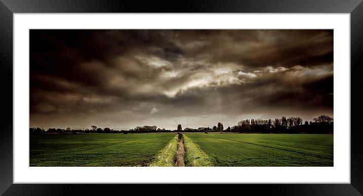 the fields Framed Mounted Print by Thanet Photos