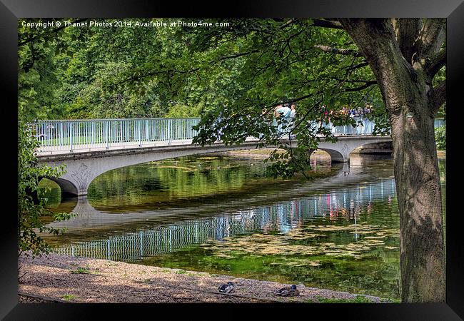 The Blue bridge, St James Park London Framed Print by Thanet Photos