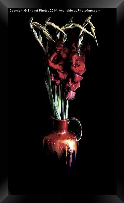 Stunning Red Gladiola flowers in a beautiful jug Framed Print by Thanet Photos