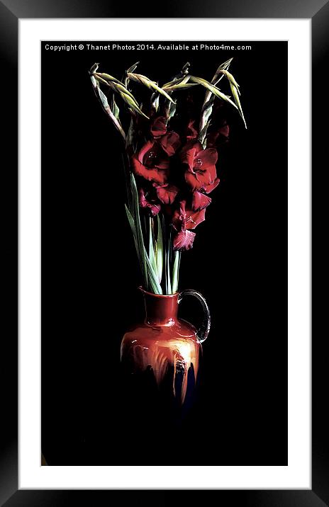 Stunning Red Gladiola flowers in a beautiful jug Framed Mounted Print by Thanet Photos