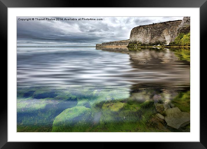  Under the sea Framed Mounted Print by Thanet Photos