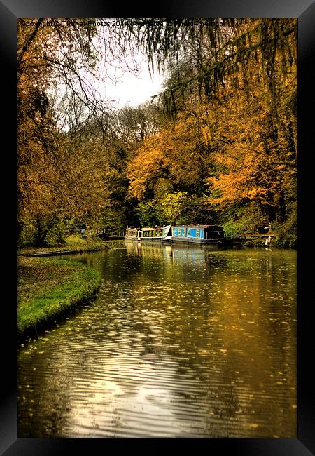  Golden canal Framed Print by Thanet Photos