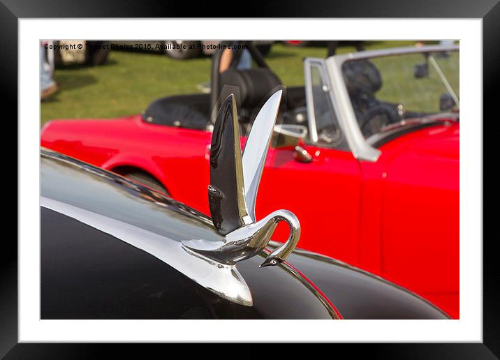  1956 Packard Ultramatic - Hood Ornament Framed Mounted Print by Thanet Photos
