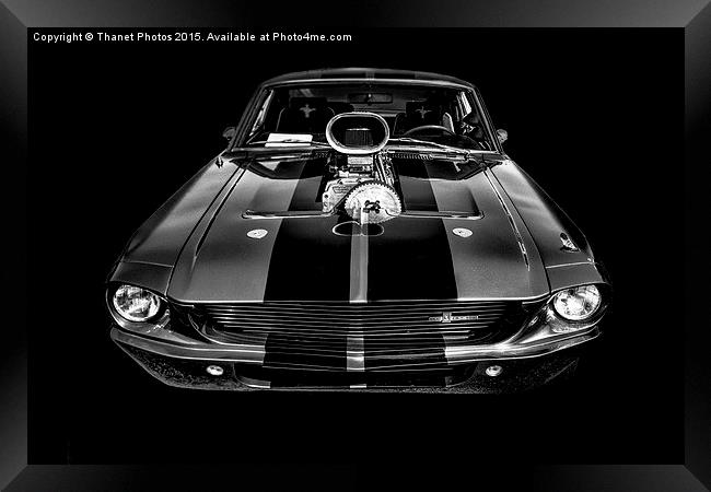  Shelby GT500 Framed Print by Thanet Photos