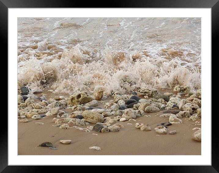 Shoreline Framed Mounted Print by Lois Eley