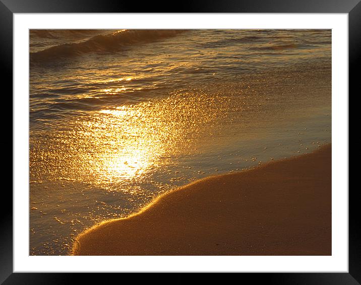 Reflections of sunset Framed Mounted Print by Lois Eley