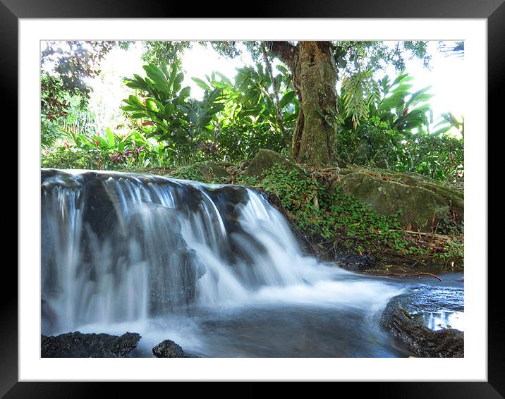 Waterfall Framed Mounted Print by Lois Eley