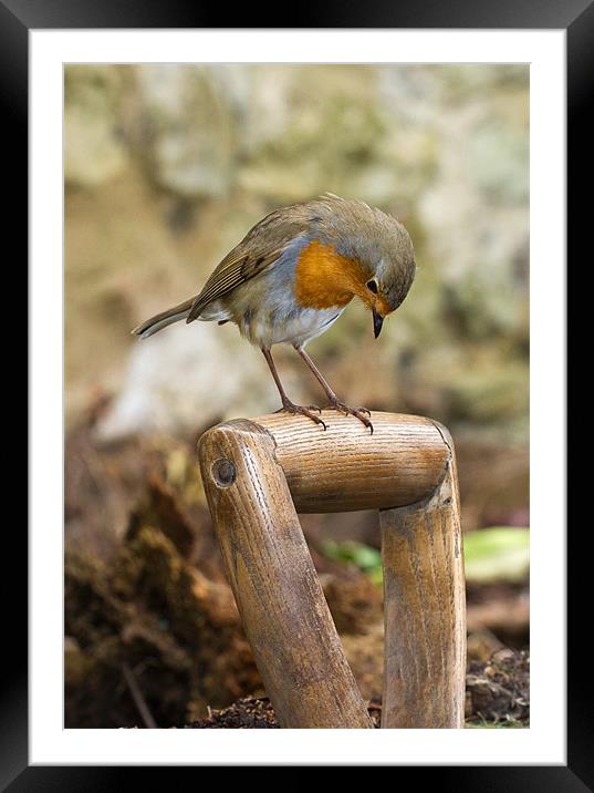 Robin would like to use this spade Framed Mounted Print by Gordon Bishop