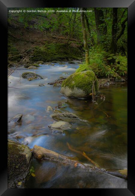 Woodland stream Framed Print by Gordon Bishop