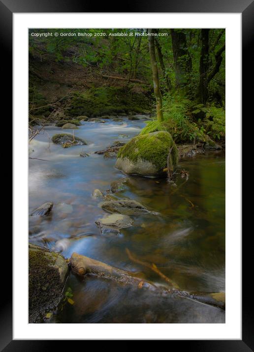 Woodland stream Framed Mounted Print by Gordon Bishop