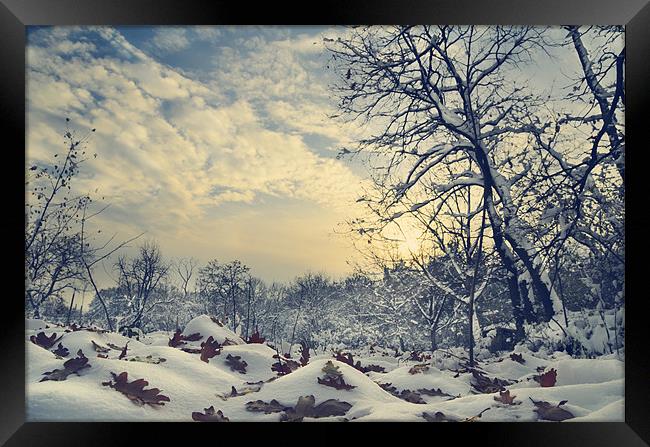 Winter Landscape Framed Print by Jelena Jovanovic
