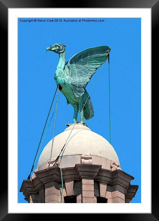 Liver Bird Framed Mounted Print by Steve H Clark