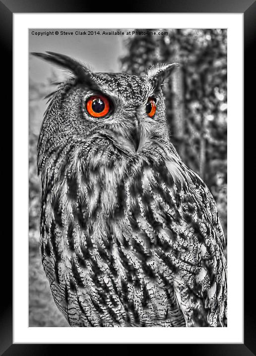 Long Eared Owl (Black and White) Framed Mounted Print by Steve H Clark