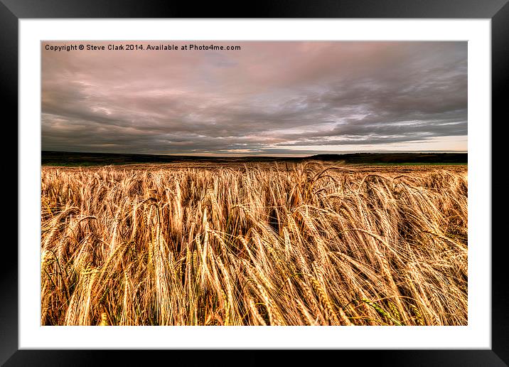  Fields Of Gold Framed Mounted Print by Steve H Clark