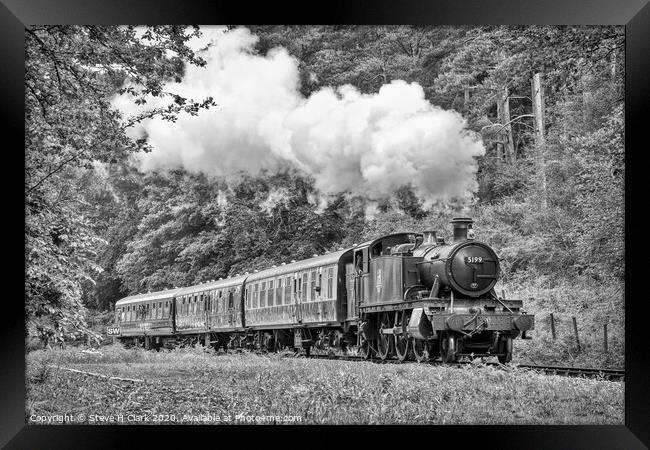 The Branch Line - Black and White Framed Print by Steve H Clark