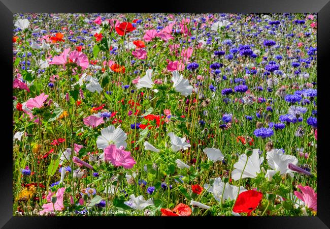 Colourful Wildflower Meadow Framed Print by Steve H Clark