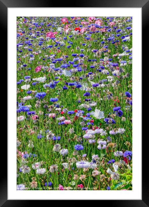 Wildflower Meadow Framed Mounted Print by Steve H Clark