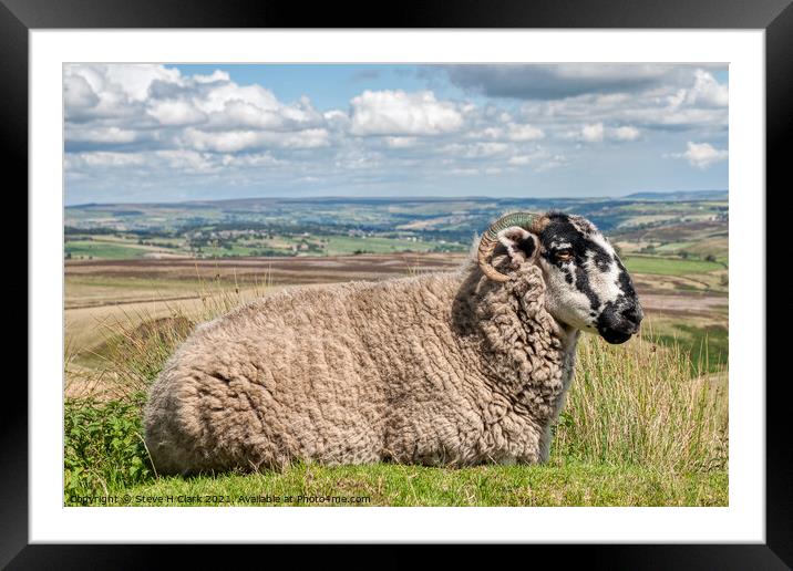 Sheep on the Moor Framed Mounted Print by Steve H Clark