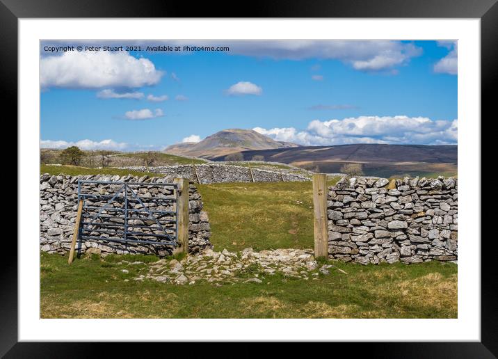 Pen-ghent above Stainforth in the Yorkshire Dales  Framed Mounted Print by Peter Stuart