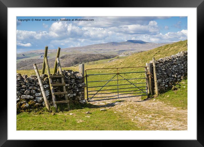 Ingleborough above the village of Feizer in the Yorkshire Dales Framed Mounted Print by Peter Stuart