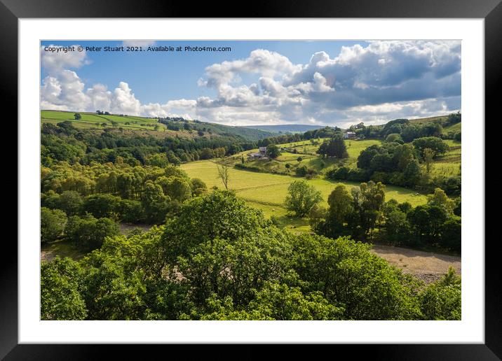 The river Tyne close to Lambley viaduct in Northumbria Framed Mounted Print by Peter Stuart