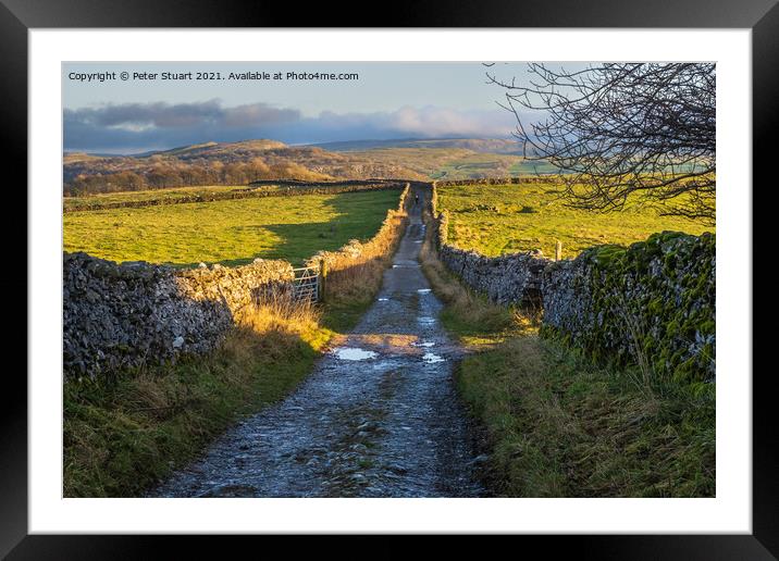 Hill walking the Norber Eratics around Austwick in Craven in  th Framed Mounted Print by Peter Stuart