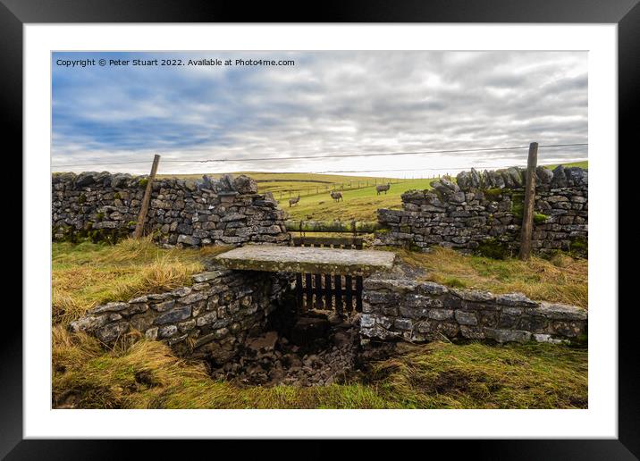 Sheep gate on Matiles Lane near Malham Tarn in the Yorkshire Dal Framed Mounted Print by Peter Stuart