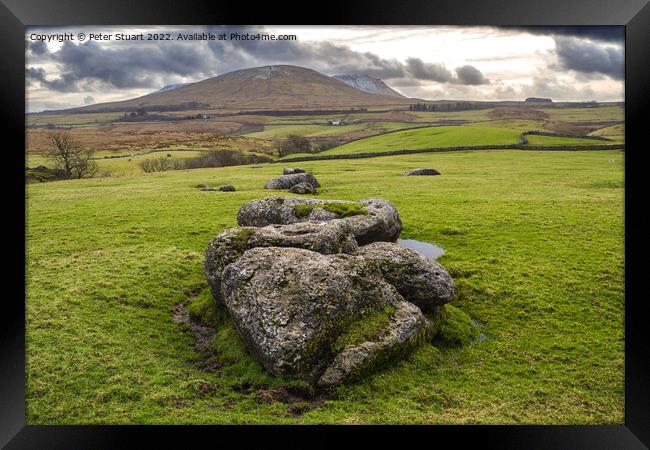 Limestine boulders in front of Park Fell near to Ribblehead in t Framed Print by Peter Stuart