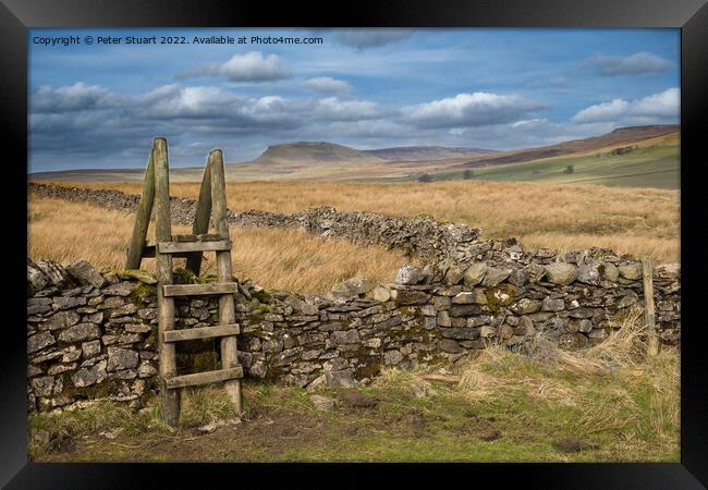 Walking the Settle Loop above Settle and Langcliffe in the Yorks Framed Print by Peter Stuart