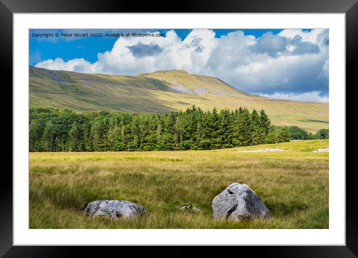 Walking along the Pennine Bridleway above Twistleton Scar betwee Framed Mounted Print by Peter Stuart