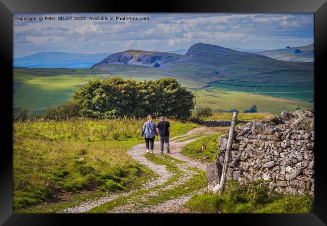 Walking in the Yorkshire Dales above Stainforth in Craven near S Framed Print by Peter Stuart