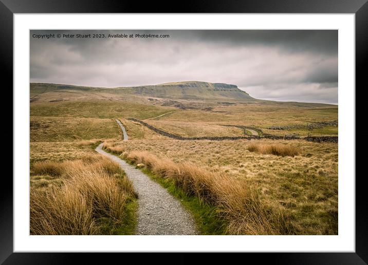 Walking on the Pennine Way and Ribble Way below Pen-y-Ghent in H Framed Mounted Print by Peter Stuart