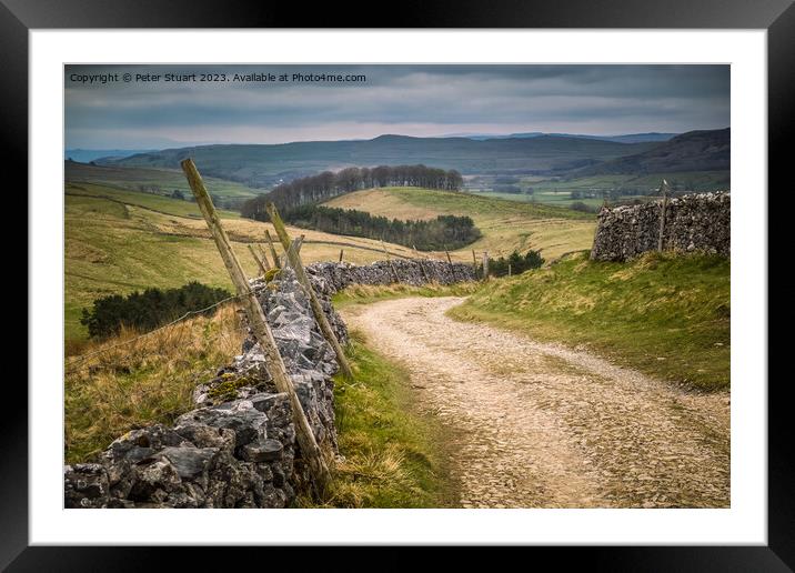 Walking on the Pennine Way and Ribble Way below Pen-y-Ghent Framed Mounted Print by Peter Stuart