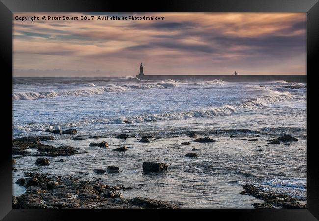 Tynemouth Harbour, Northumberland Framed Print by Peter Stuart
