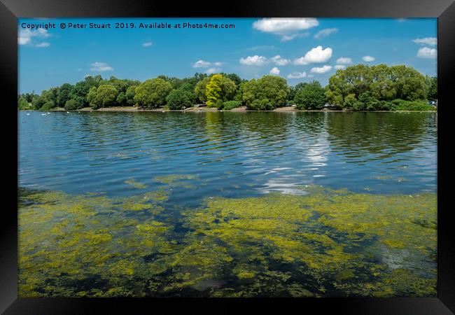 Pennington Flash, Leigh, Wigan Framed Print by Peter Stuart