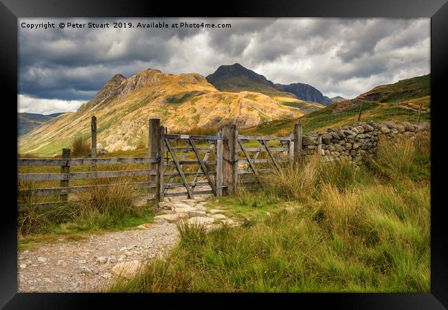 The Langdale Pikes  Framed Print by Peter Stuart