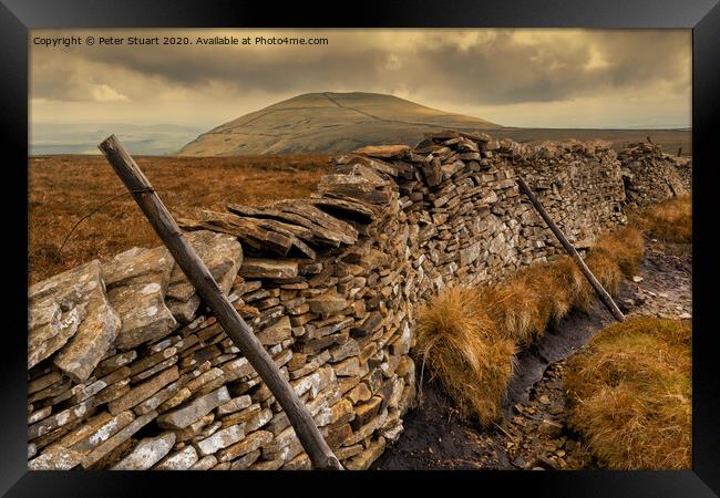 Pen-y-ghent and the Yorkshire 3 Peaks Framed Print by Peter Stuart