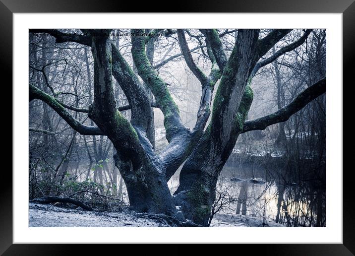 Sankey Valley at St Helens in Merseyside Framed Mounted Print by Peter Stuart