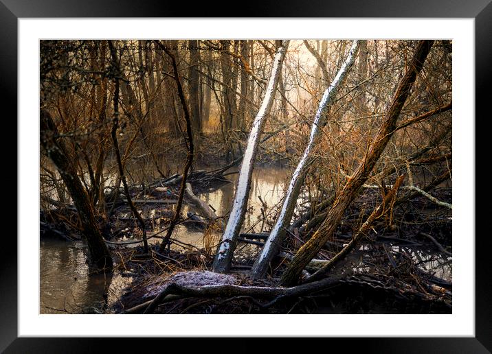 Sankey Valley at St Helens in Merseyside Framed Mounted Print by Peter Stuart