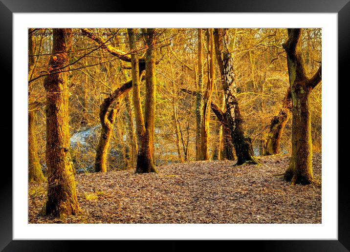 Sankey Valley near to St Helens in Merseyside Framed Mounted Print by Peter Stuart