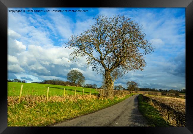 Garswood Old Rd, Billinge Framed Print by Peter Stuart