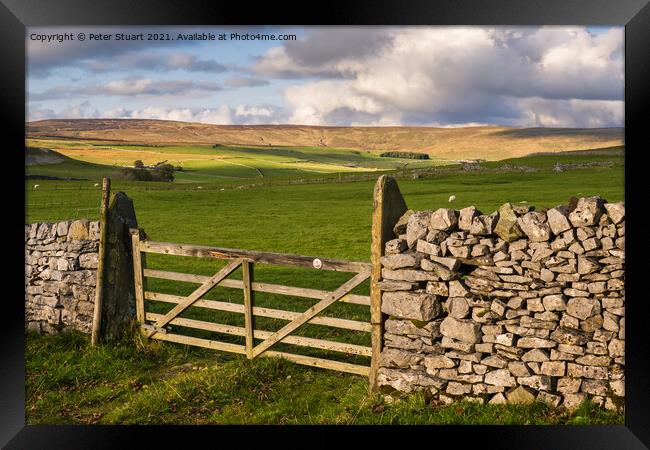 Fountains Fell from Malham Tarn Framed Print by Peter Stuart