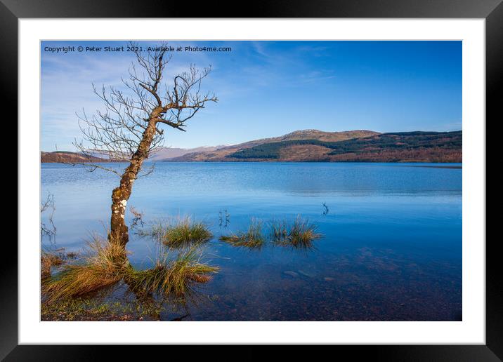 lone tree on loch tay Framed Mounted Print by Peter Stuart