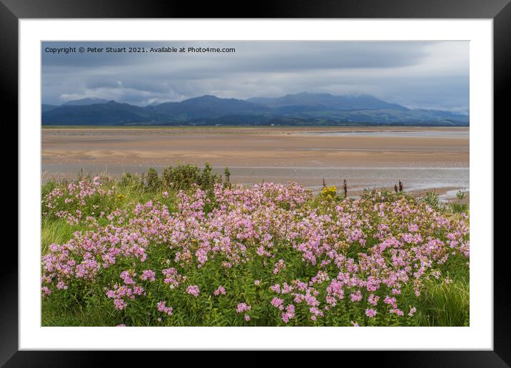 Haverigg and the Duddon Estuary in South Cumbria Framed Mounted Print by Peter Stuart