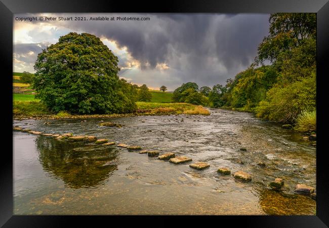 Stepping Stones on the River Wharfe above Burnsall Framed Print by Peter Stuart