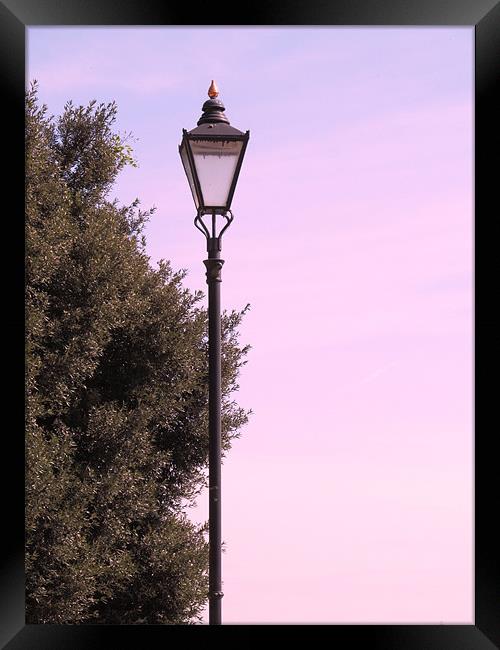 Old Lamp post Framed Print by Samantha Daniels